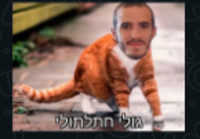 גל לכדורגל