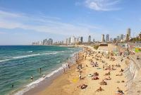 הוספת מגרשי פוצ'יוולי וכדורעף בפארק הירקון ובגנים ציבוריים