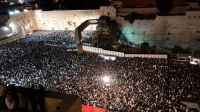 חיות: לא לגעת בכותל המערבי