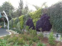 שכונת מונטיפיורי- מתן פתרון אקוסטי לרעש המגיע מנתיבי איילון