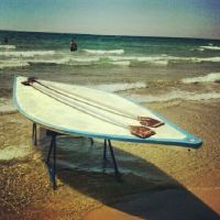 רוצים אימוג'י של חסקה!