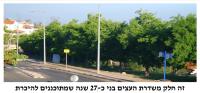עצומה למען הצלת גן עצי ארץ ישראל בצפת