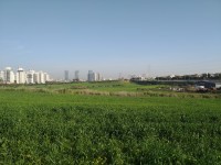 מצילים את המרחב הביוספרי בגבעת שמואל!