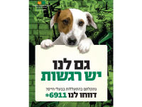 עצומה-הגברת האכיפה והענישה כנגד פושעים שמתעללים בבעלי חיים