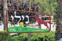 עצומה למניעת הקמת תיכון בישוב ניל"י
