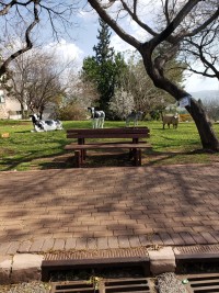 משאירים את הפסלים במכבים