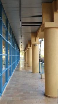 לעצור מיד את התקנת התקרות