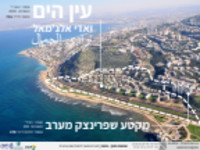 תובנות תושבי ואד אלג'מאל- עין הים התחדשות עירונית 2021