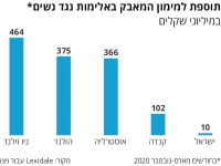 העלאת התקציב לתפעול מקלטים של נשים מוכות