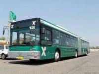 עצומה נגד העדר תחבורה ציבורית בשבת בעיר ירושלים