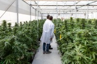 לגליזציה 2021