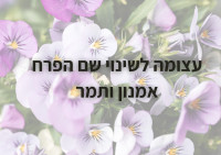 שינוי שם הפרח אמנון ותמר