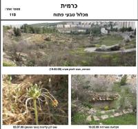 שמירה על אתר טבע עירוני בכפר הצמחים (אתר כרמית בירושלים)