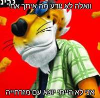 moon knight בעברית!
