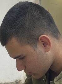 די לבניגו הסימפ
