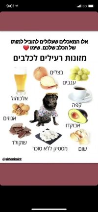 אולי שיחת הדרכה?