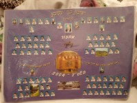 מחזירים את מיקי לתמונה