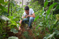 שרת החינוך, אל תתני יד לסגירת פנימיות האגודה לקידום החינוך!