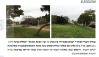 הצלת פארק נקודת חן - לא לכריתת עצים