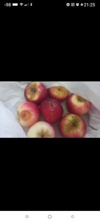 להעיף את קיטו מרום ולהחזיר את אלומה !! 