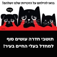 תושבי חדרה עושים סוף למחדל בעלי החיים בעיר ודורשים שקיפות!