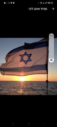 ממשלת אחדות רחבה - צו השעה