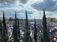 אנשי חינוך למען ישראל דמוקרטית