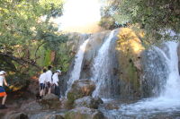הפרדה מגדרית במעיינות
