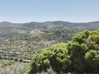 לא מחליפים מחנכת כיתה