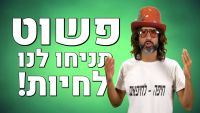 לגליזציה בישראל