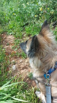 לא מוסרים את נושי!