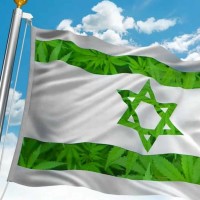 לגליזציה עכשיו!