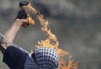 סוף למחבלים ביהודה ושומרון