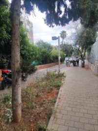 די להפקרות הולכי הרגל בשביל בין יצחק שדה לעמינדב