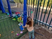 מצילים את גן דובדבן