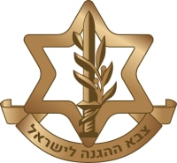 טיפול שורש במבנה צה"ל ובתעשיית הנשק הישראלית