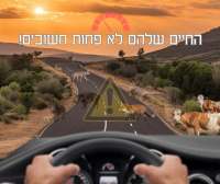 להציל את חיות הבר מהרג בכבישים