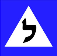 עצומת תלמידים להורדת מחירי הוצאת רישיון נהיגה