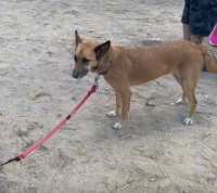 הוצאת באקסי לטיול שכב״ג