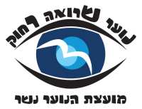 מכבדים את הפצועים השקופים