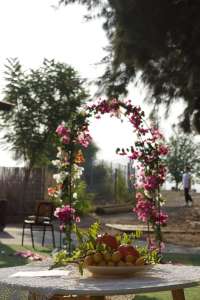 העלאת כל ילדי גני אופק לכיתה א׳ באופק