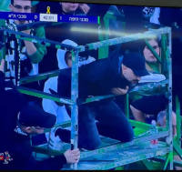 לא רוצים קופים ביציע!