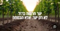 לשינוי שם יער חרבות ברזל 