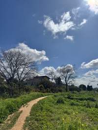 התקנת פסי האטה ברחוב יהלום למען בטיחות התושבים