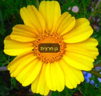 לא סוגרים את גן חרצית ביקנעם עילית! ילדינו לא הפקר!