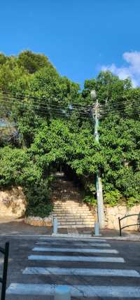 Conservation of the Dan Staircase Complex and Building Permit Margalit