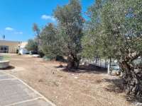 עצומה לשדרוג ופיתוח הרחבה הציבורית בשכונת נוף העמק