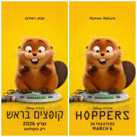 משנים את שם הסרט החדש של דיסני 'קופצים בראש'