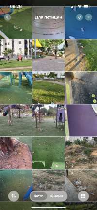 חוסר היגיינה וכלבים בגני המשחקים אנו דורשים ניקיון