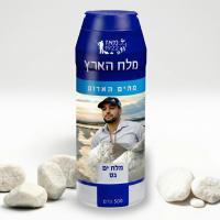 פרס ישראל למרדכי דוד